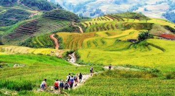 Discovery The Unique Culture Of The Red Dao In Sapa, Vietnam